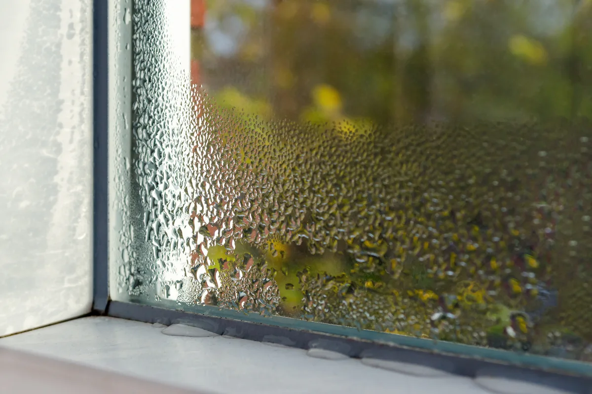 Condensation droplets covering a window inside a humid home
